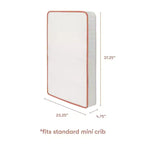 Matelas pour lit de bébé Babyletto x Avocado Organic Mini - Blanc : Fermeté moyenne, respirant, mousse à mémoire de forme, 10,4 kg