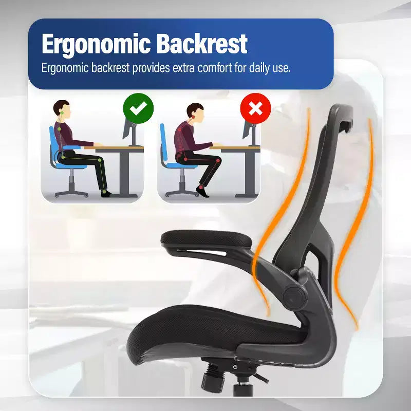 FDW Chaise de Bureau Chaise de Maison Chaise d'Ordinateur avec Support Lombaire Accoudoirs Réglables Accoudoirs Relevables et Base Pivotante