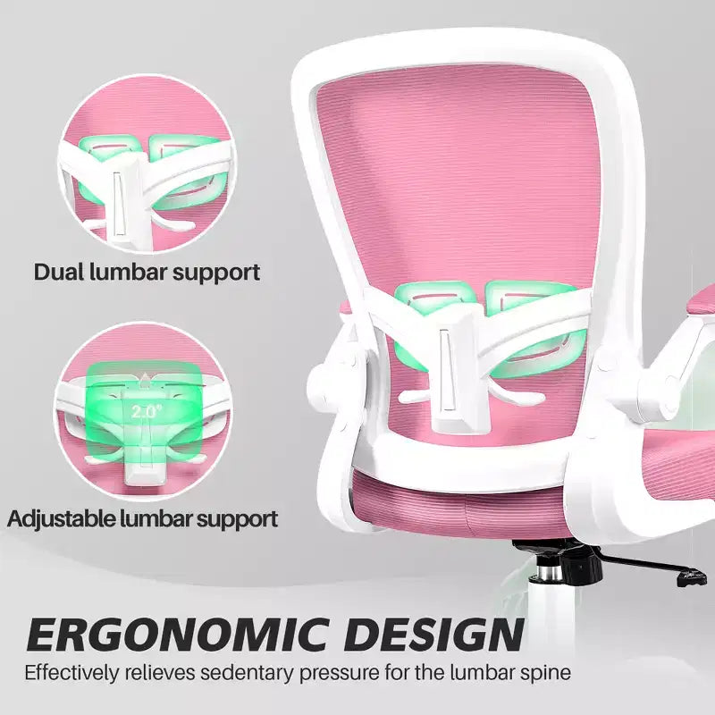 Chaise de Bureau Ergonomique KERDOM, Soutien Lombaire Réglable, Tissu en Maille Respirant, Durable et Fiable