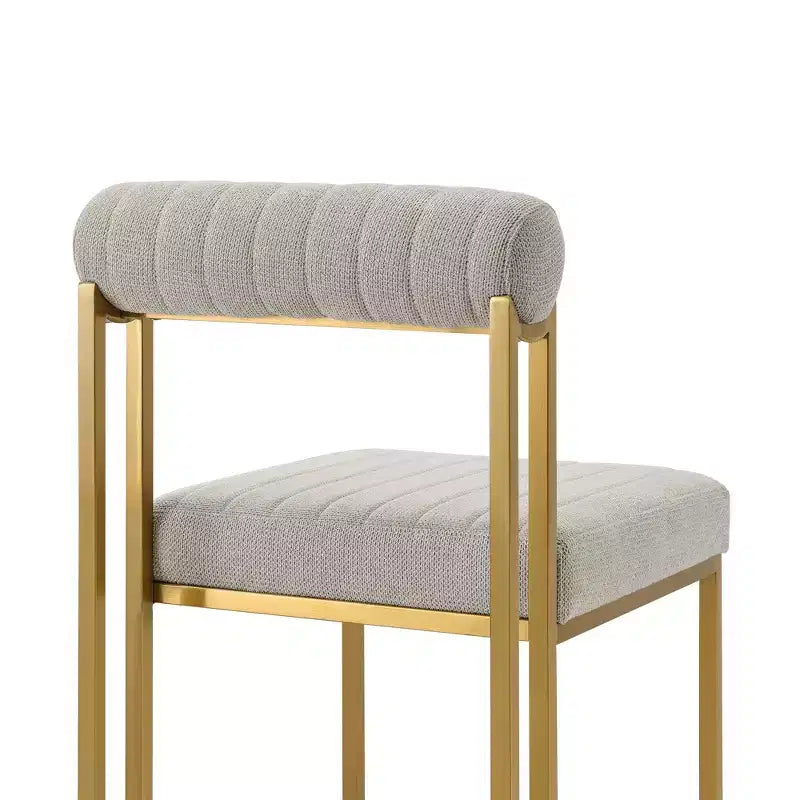 Lot de 2 chaises de salle à manger Anastasia en acier inoxydable brossé et tissu d'Armen Living
